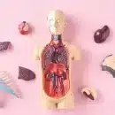 مزاج اعضا بدن